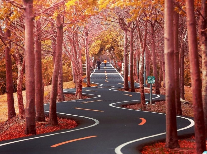 台中潭雅神绿园道