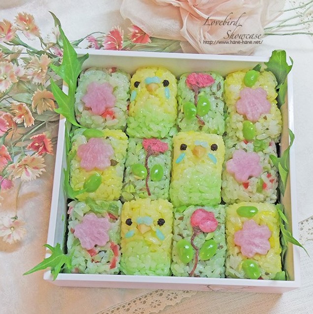 香织*♡birdshowcas