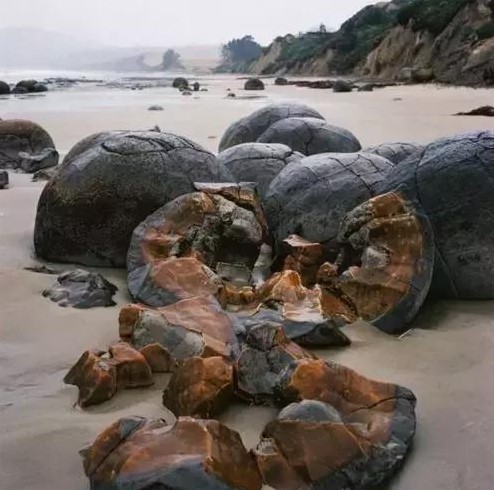 新西兰的莫埃拉基巨卵石