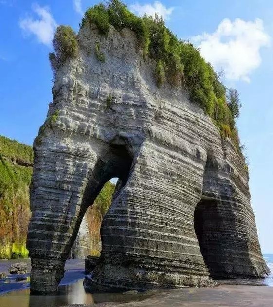 新西兰黄金湾上的大象岩