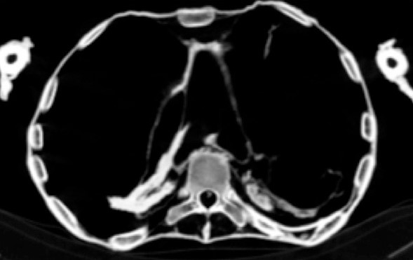 3000年谜团终揭晓