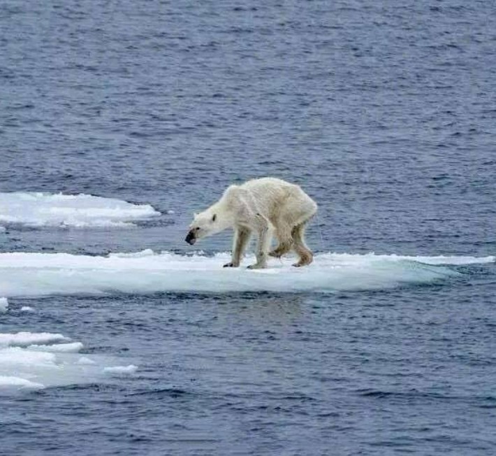 北极冰架坍塌