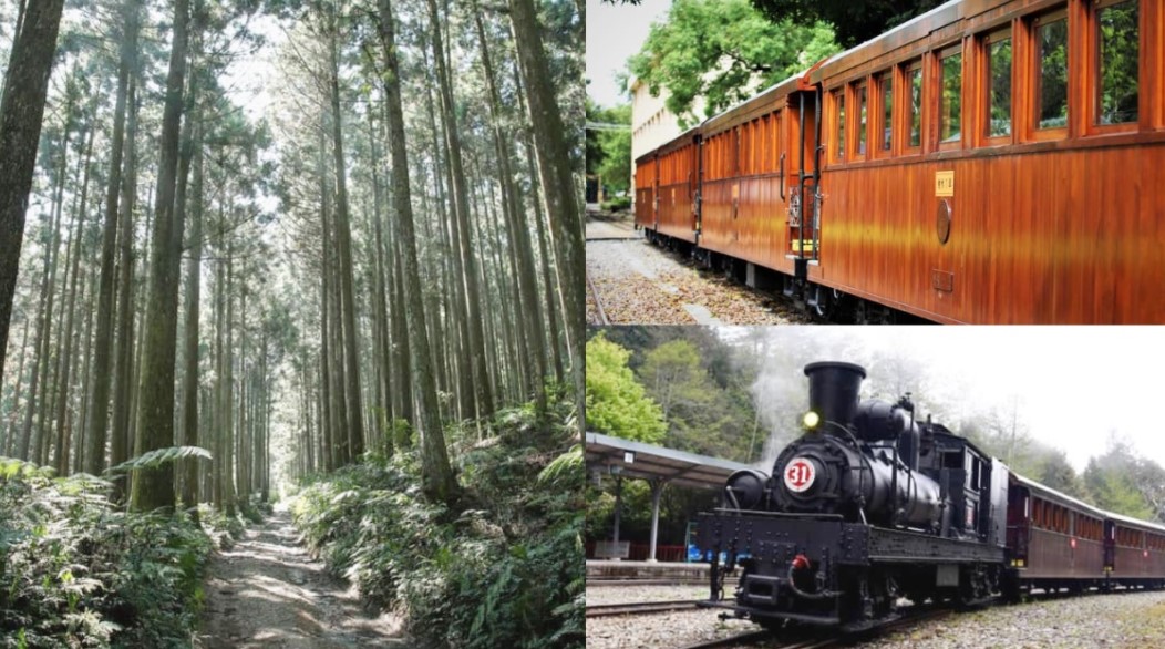 阿里山森林游乐区