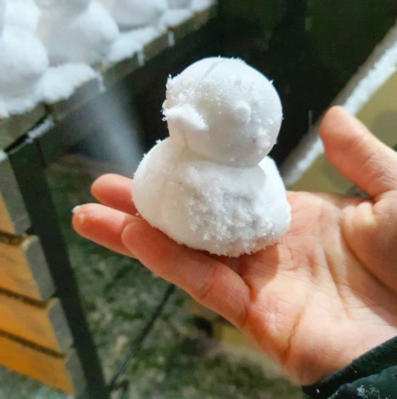 鸭子军队雪人