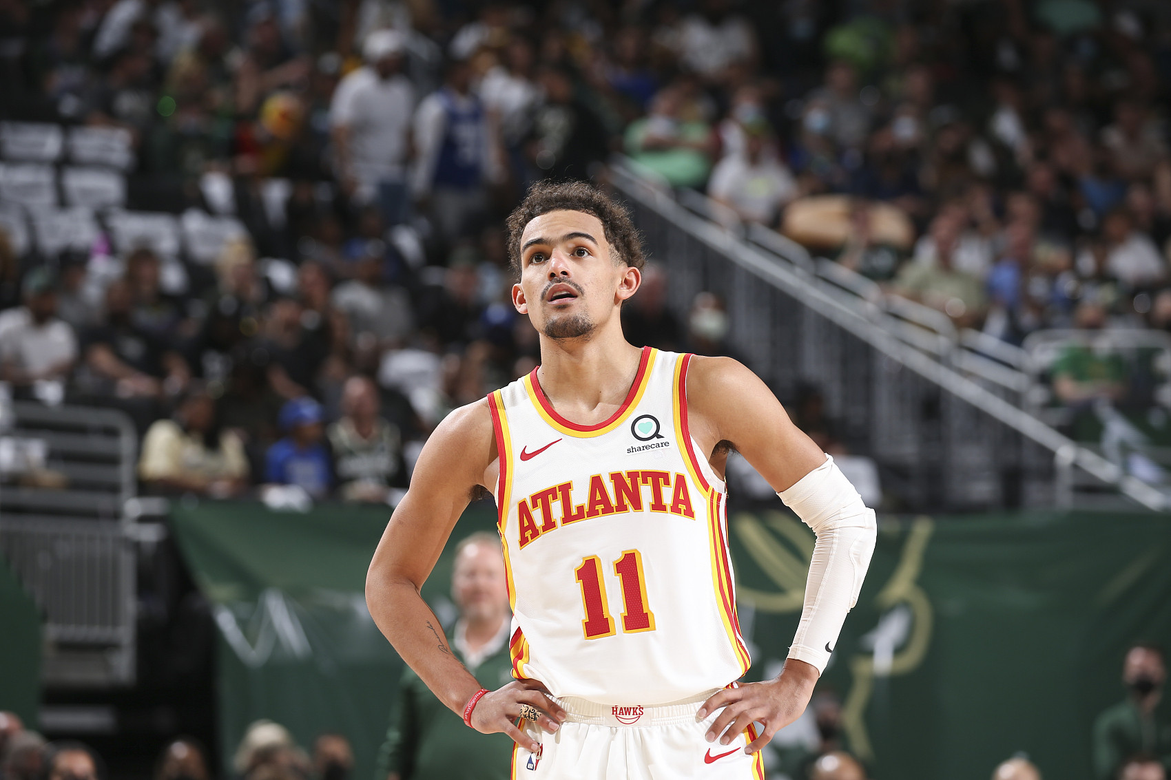 老鹰杨恩(Trae Young)