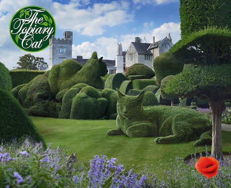 托利于, Richard Saunders