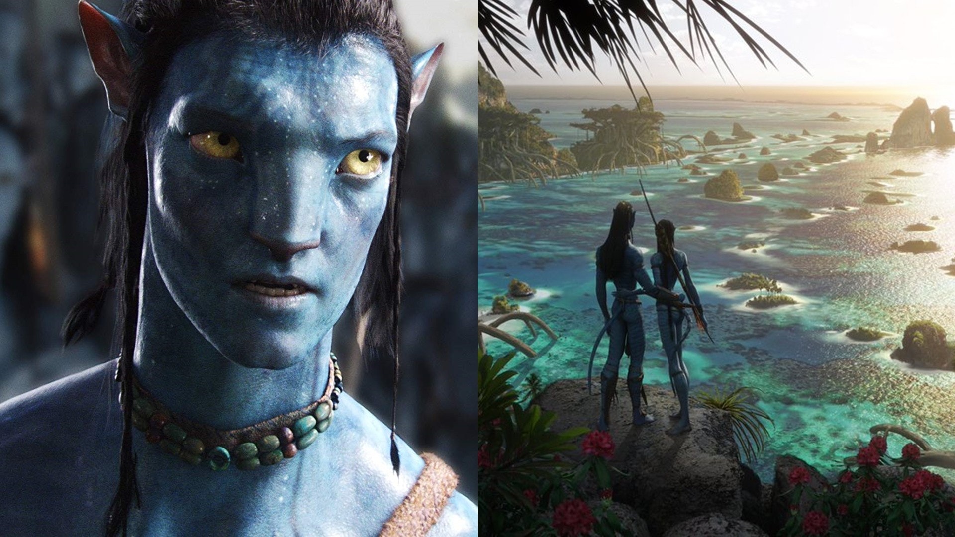 Ed Sheeran,阿凡达2