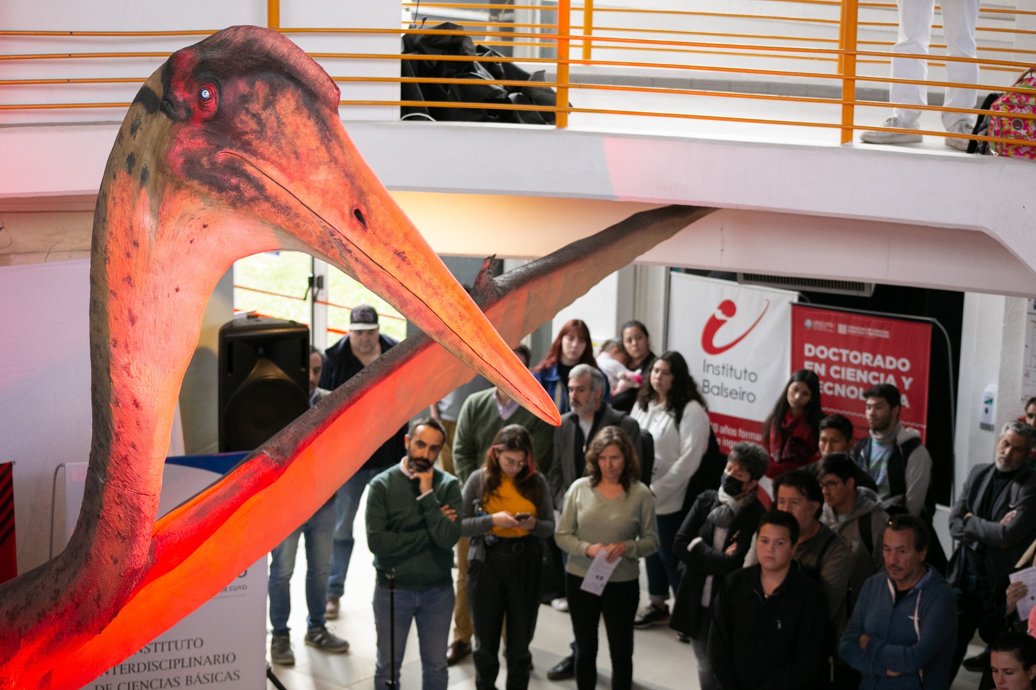 死亡之龙,阿根廷出土