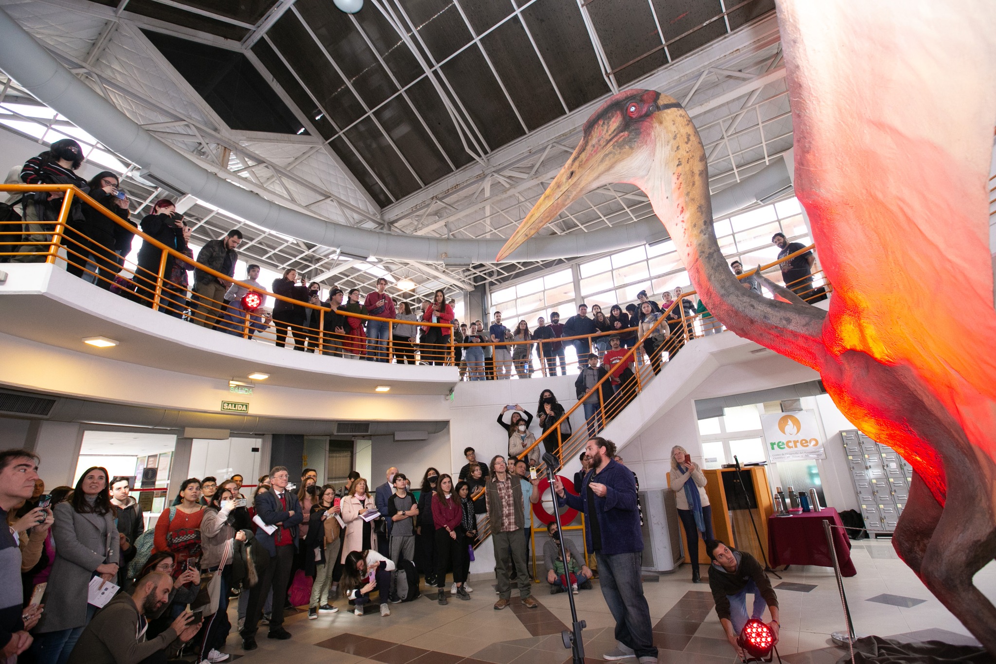 死亡之龙,阿根廷出土