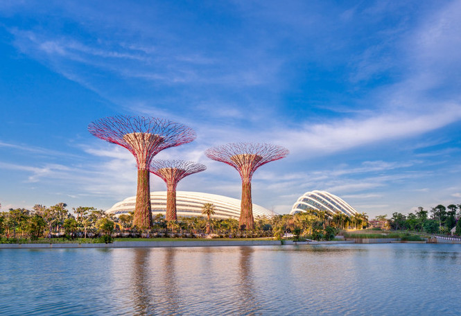 阿凡达2：水之道,新加坡滨海湾花园
