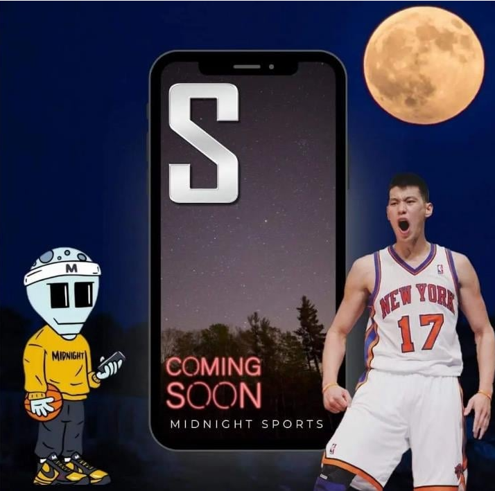 林书豪,广州龙狮队