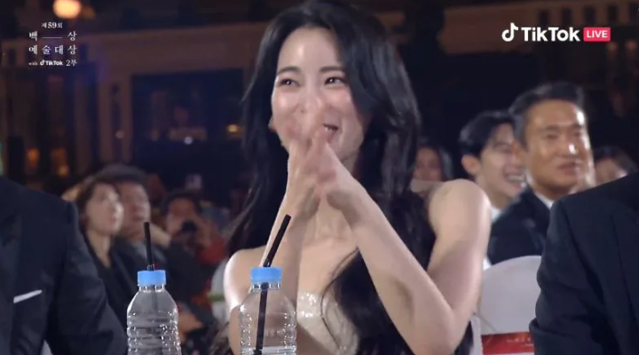 宋慧乔百想视后,黑暗荣耀