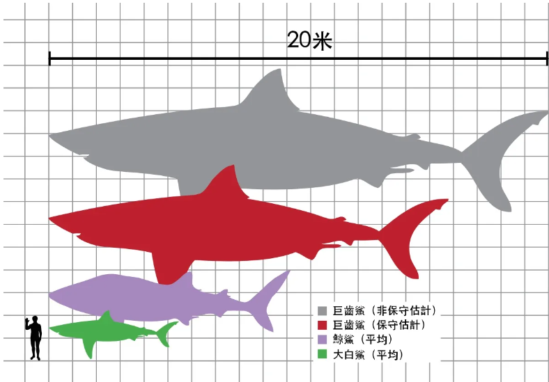 杰森-斯坦森,巨齿鲨2,吴京