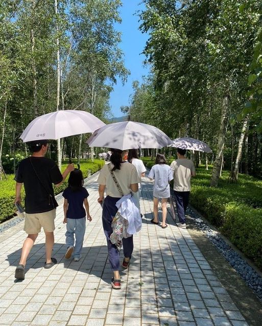 汤唯,色，戒,分手的决心,百想艺术大赏