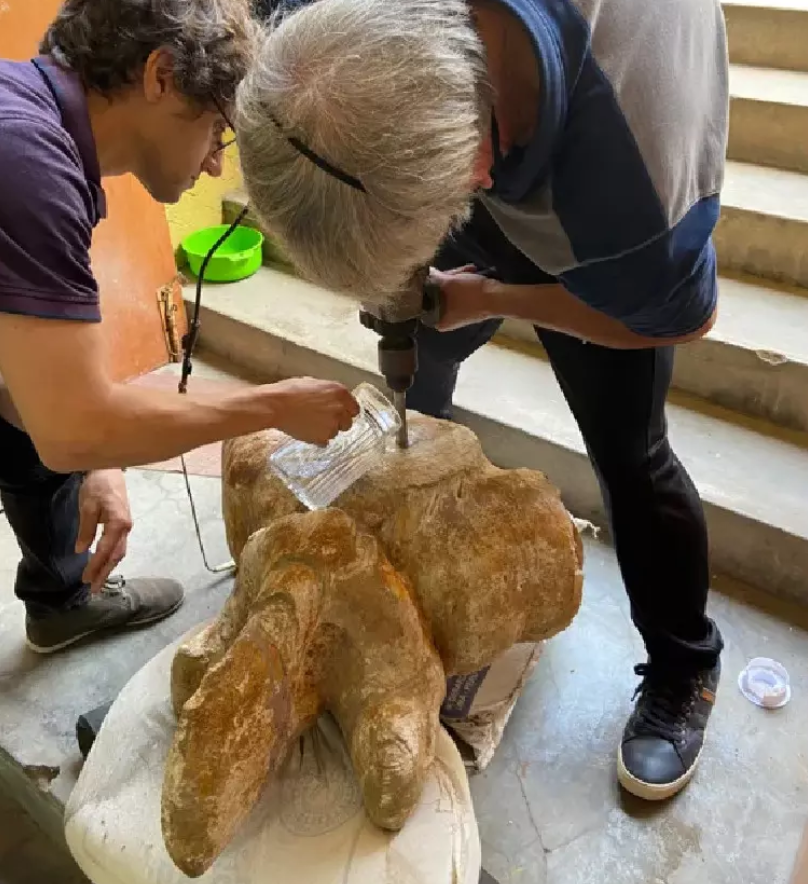 古代鲸鱼骨骼化石,秘鲁