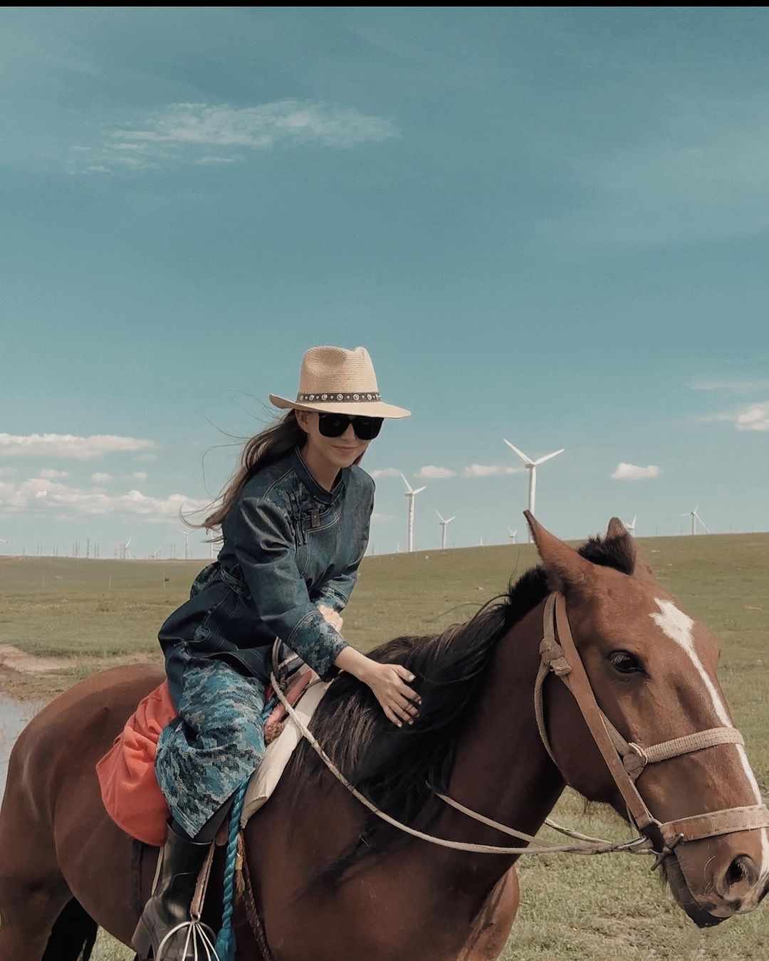 嘉年华世界巡回演唱会