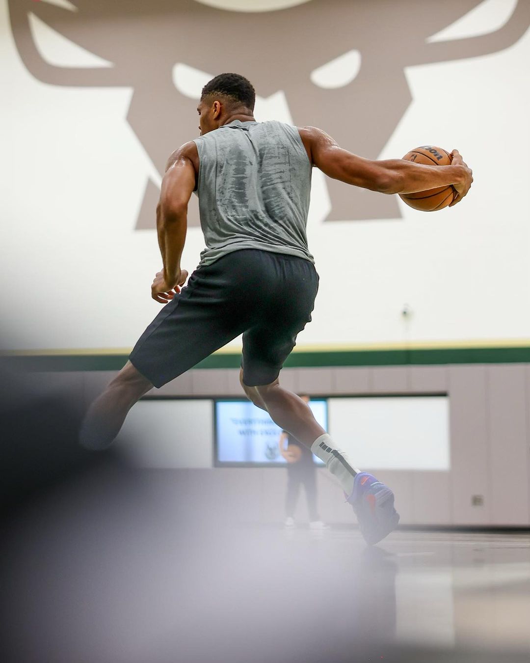 字母哥,NBA,雄鹿