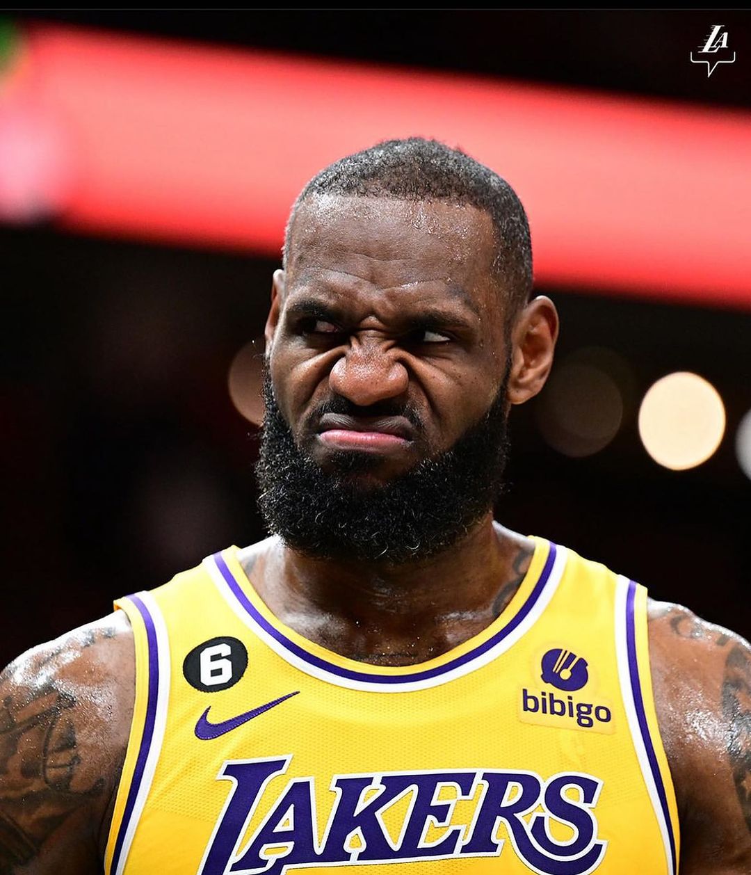 詹皇,詹姆斯,湖人,2023-24赛季常规赛