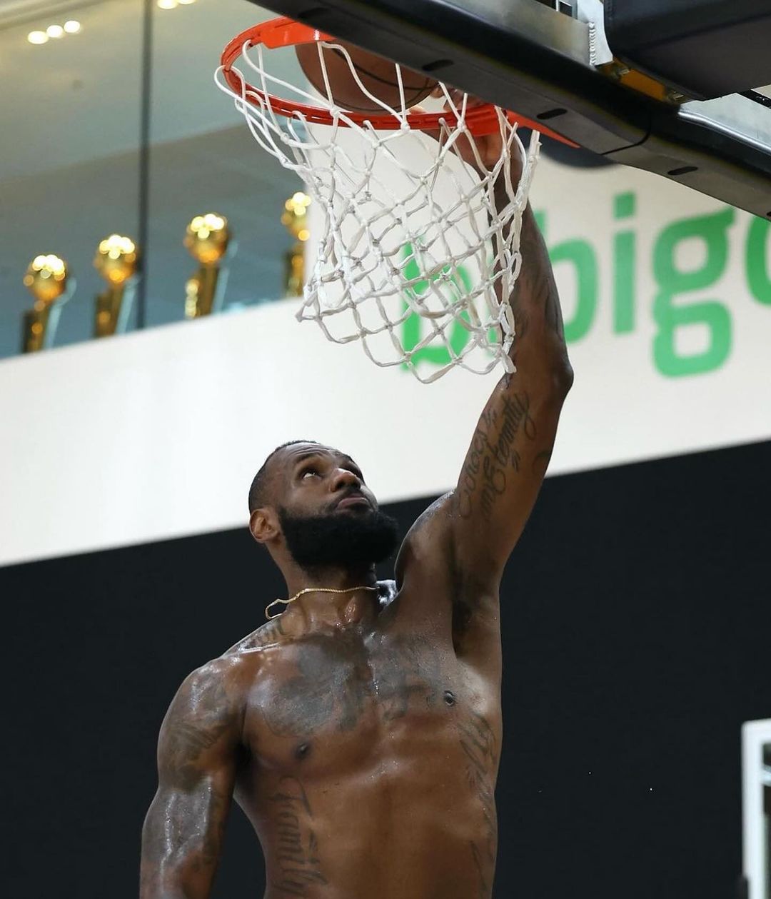 詹皇,詹姆斯,湖人,2023-24赛季常规赛