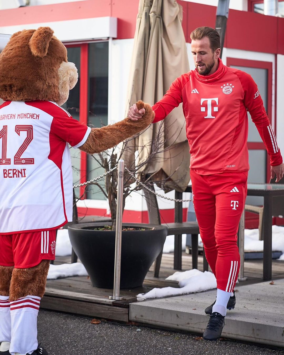 凯恩射手王,拜仁,斯图加特,欧洲五大联赛,德甲联赛