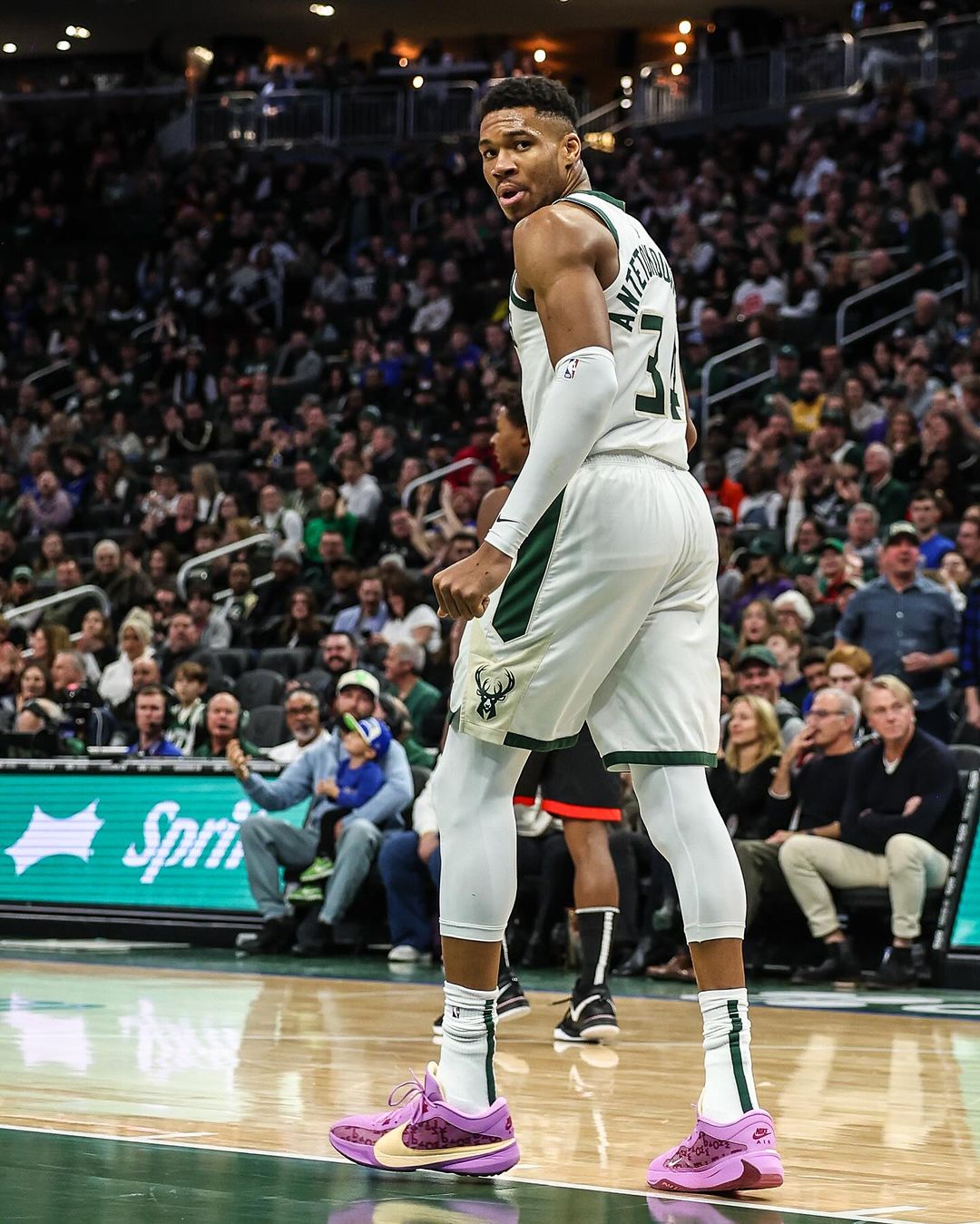 鹿,字母哥,尼克斯,布伦森, 利拉德, 迪文琴佐