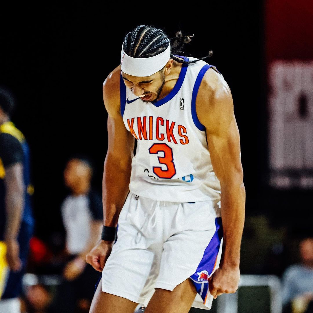 鹿,字母哥,尼克斯,布伦森, 利拉德, 迪文琴佐