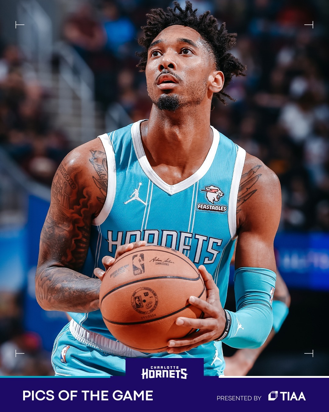 常规赛,骑士,黄蜂,小尼克-史密斯,斯特鲁斯,奥科罗,麦戈文斯