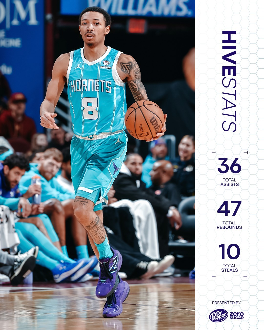 常规赛,骑士,黄蜂,小尼克-史密斯,斯特鲁斯,奥科罗,麦戈文斯