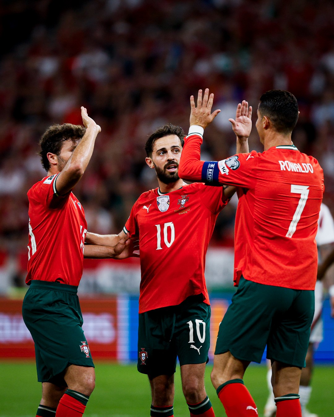 世界杯欧洲区预选赛,葡萄牙,匈牙利,克里斯蒂亚诺·罗纳尔, C罗