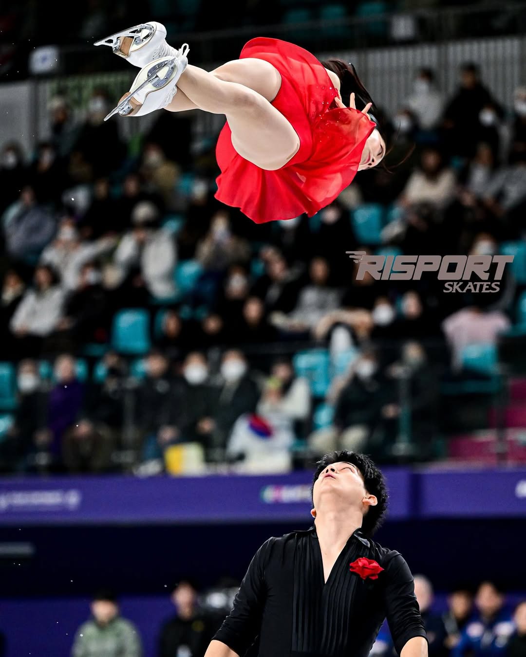 滑雪,日本选手,花样滑冰,三浦璃来,木原龙一