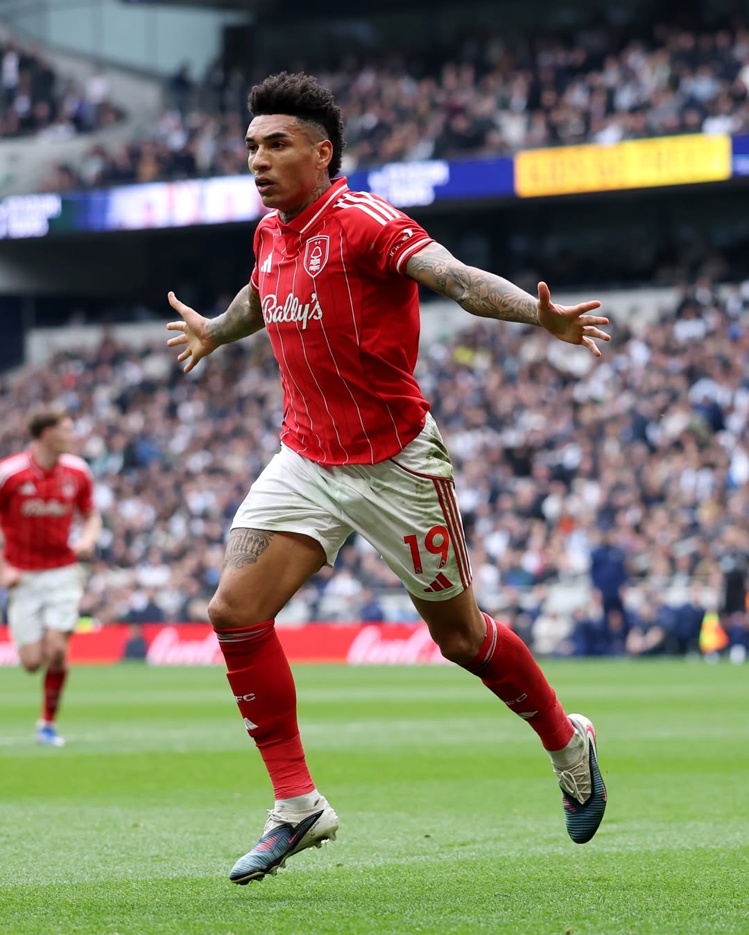 热刺,维卡里奥,丹索, 诺丁汉森林,塞尔斯,互博体育,777ball