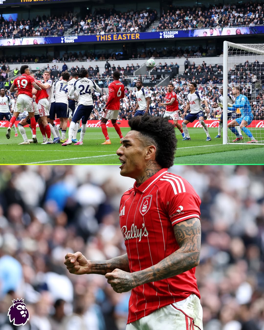 热刺,维卡里奥,丹索, 诺丁汉森林,塞尔斯,互博体育,777ball