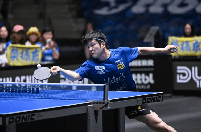 乒乓球,德甲联赛,冠军,樊振东,登顶,个人赛季, 多塞尔多夫,777ball,互博体育