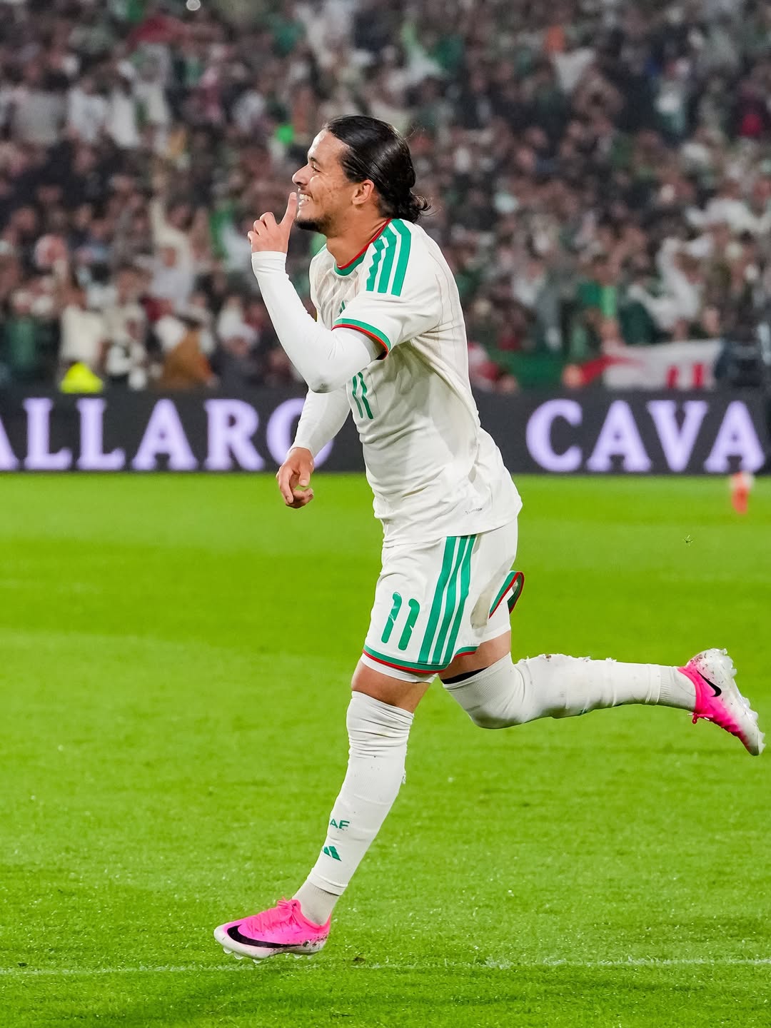 Algeria national football team, Nederlands voetbalelftal,国际足球热身赛,荷兰队,阿尔及利亚队