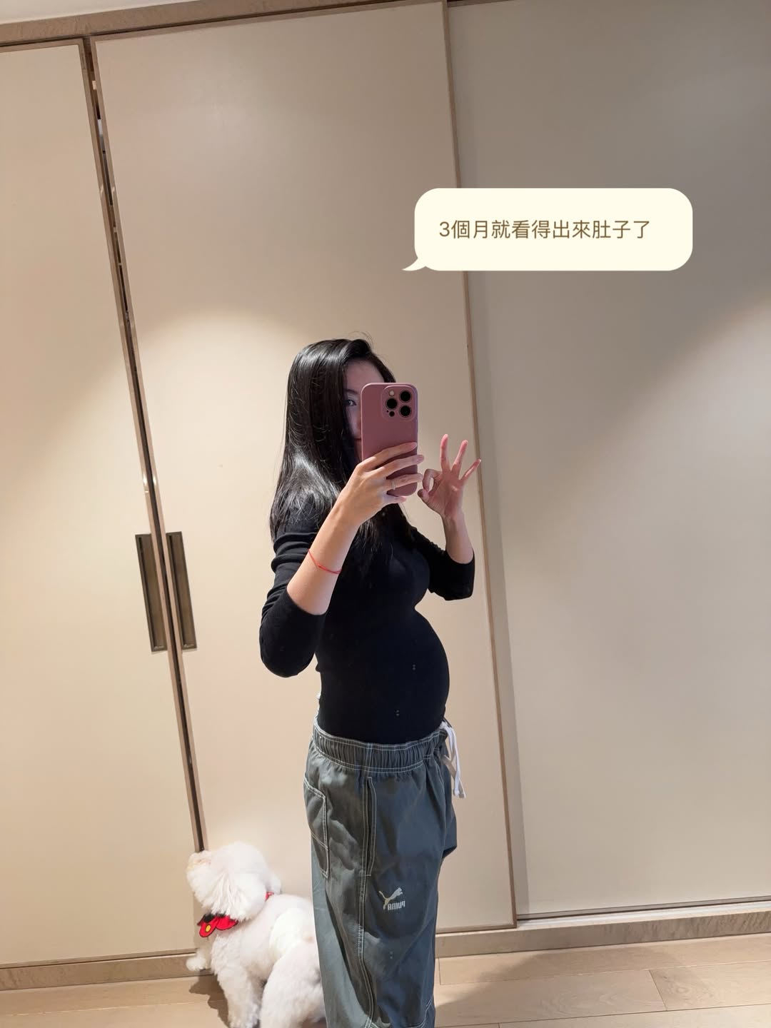 蝴蝶姐姐, 恺乐,感情风波, 三宝妈