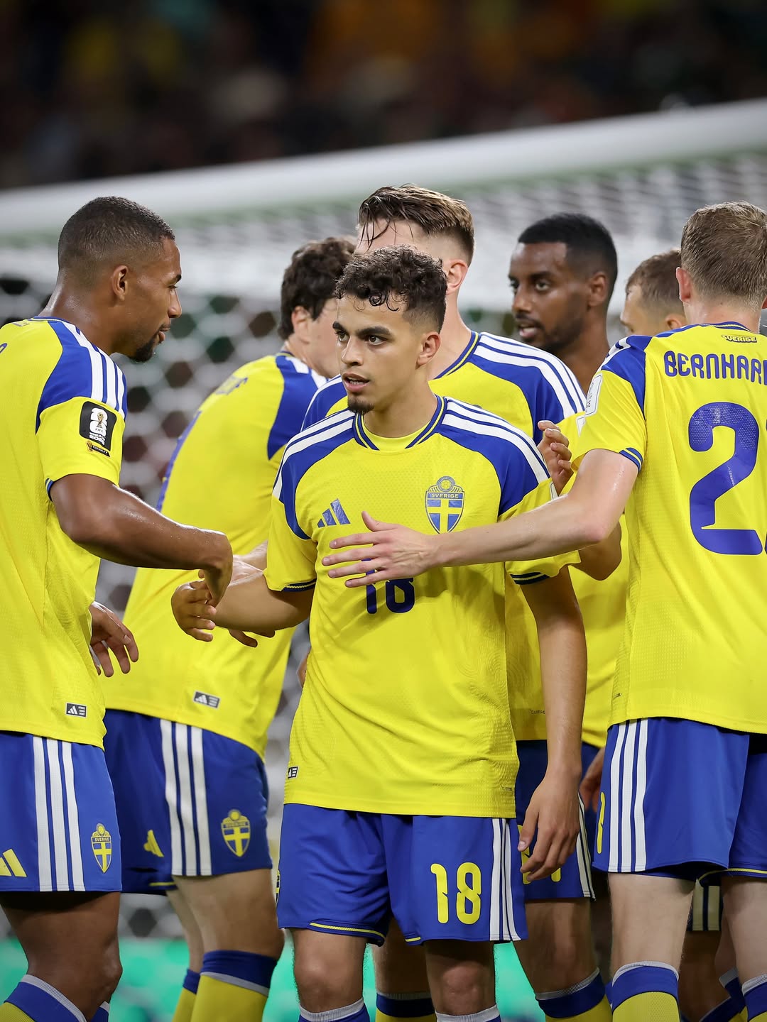 Sweden, Tunisia, 世界杯,瑞典队, 突尼斯