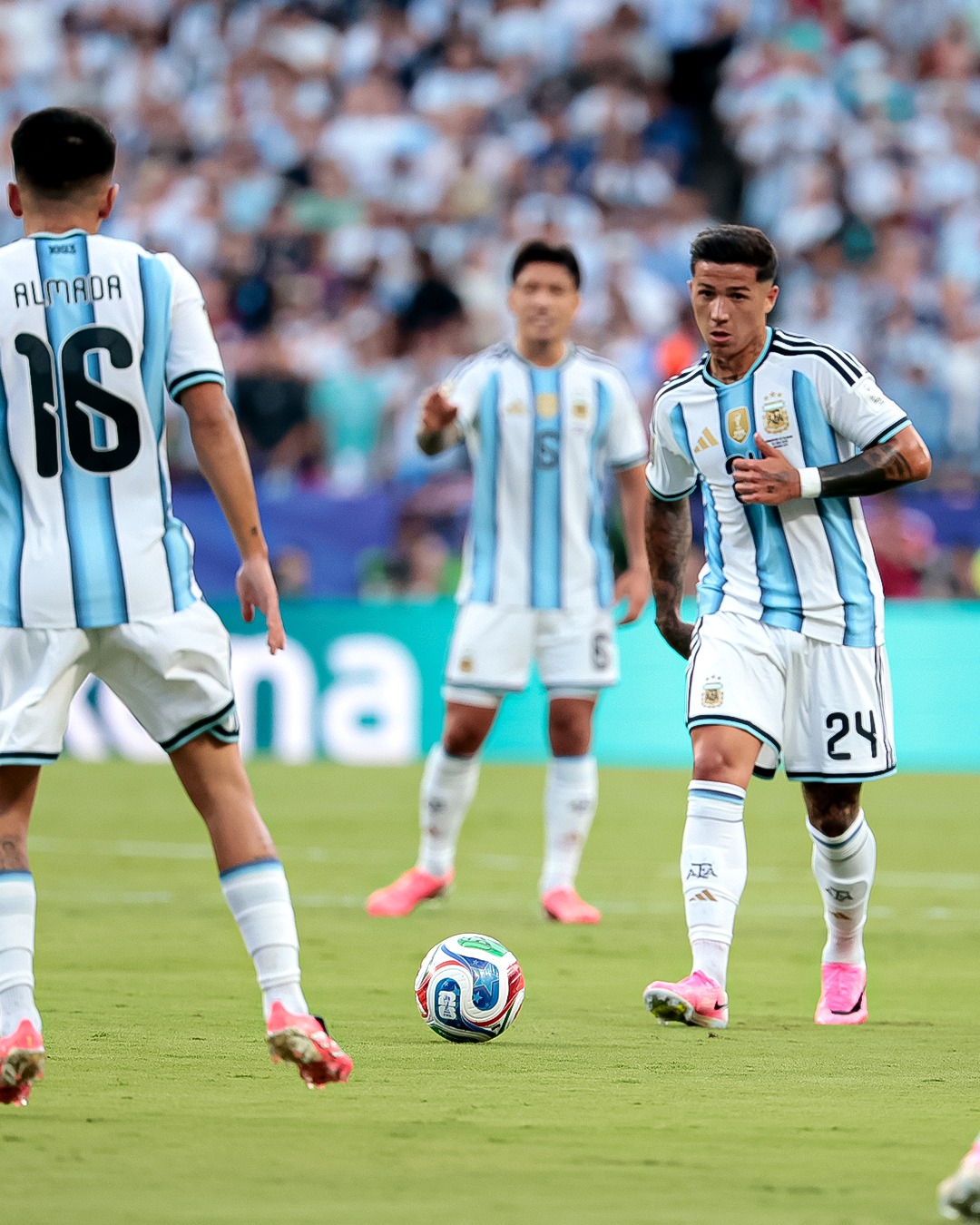 Selección de fútbol de Argentina,美加墨世界杯,帽子戏法,阿尔及利亚,阿根廷,卫冕冠军,世界杯J组 足坛球王 